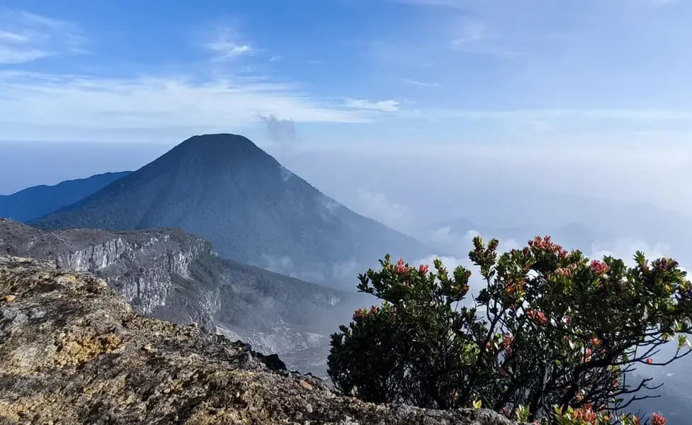 Tips Pendakian Gunung Gede Pangrango untuk Pemula: Panduan Lengkap & Aman